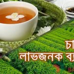 অল্প পুজিতে চা পাতার লাভজনক ব্যবসা