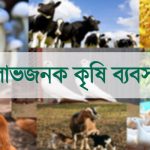 কৃষি ব্যবসার আইডিয়া