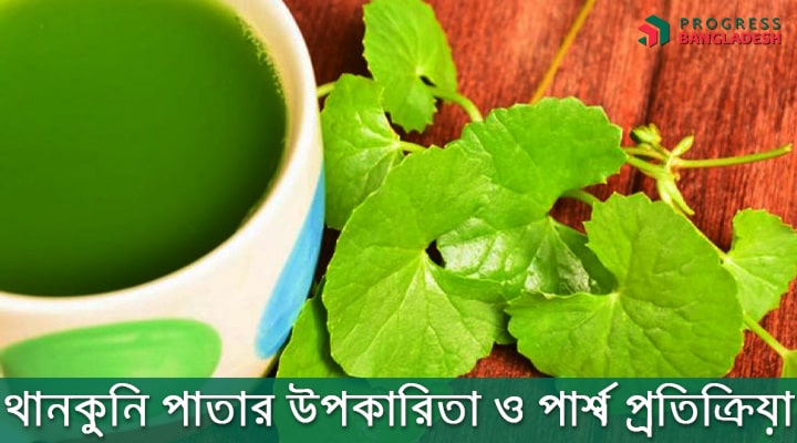 থানকুনি পাতার উপকারিতা ও পার্শ্ব-প্রতিক্রিয়া
