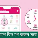 বিকাশে বিল পে করুন ঘরে বসে