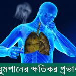 মানবদেহে ধূমপানের ক্ষতিকর প্রভাব