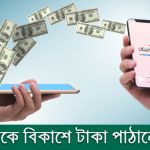 বিদেশ থেকে বিকাশে টাকা পাঠানোর নিয়ম