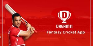 (৬) ড্রীম ১১ (Dream 11)
