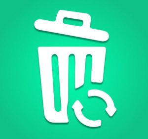 Dumpster Bin File Recovery 